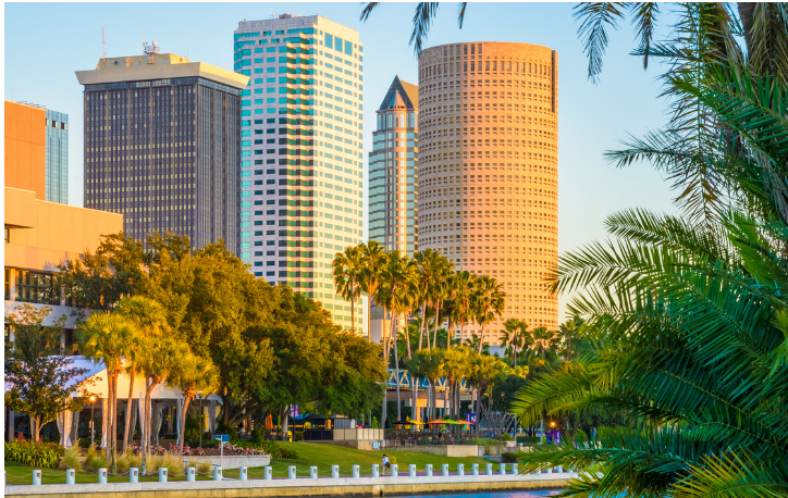 Tampa Bay Skyline